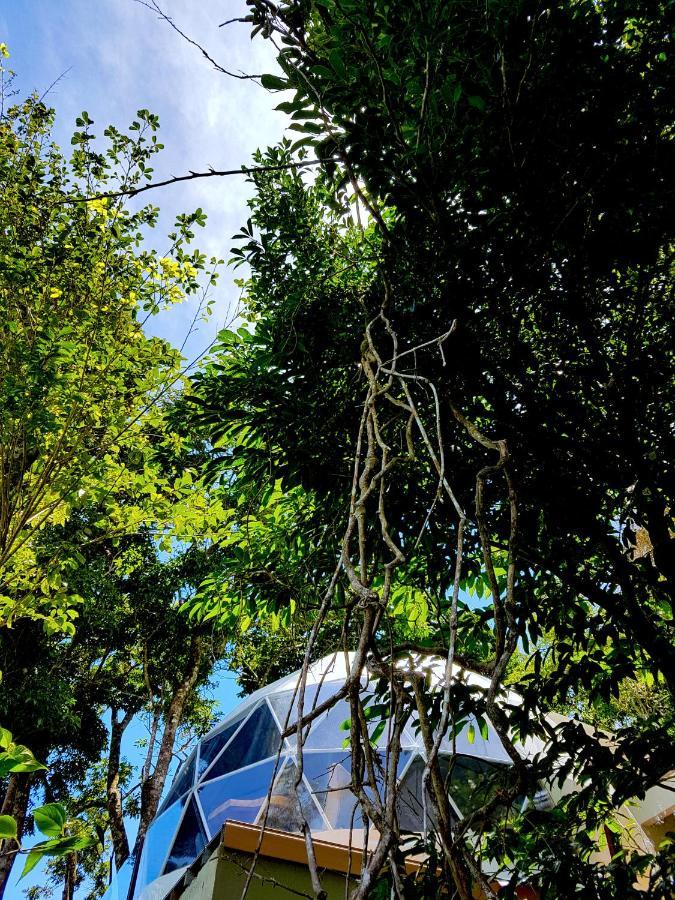 Chira Glamping Monteverde Exterior photo