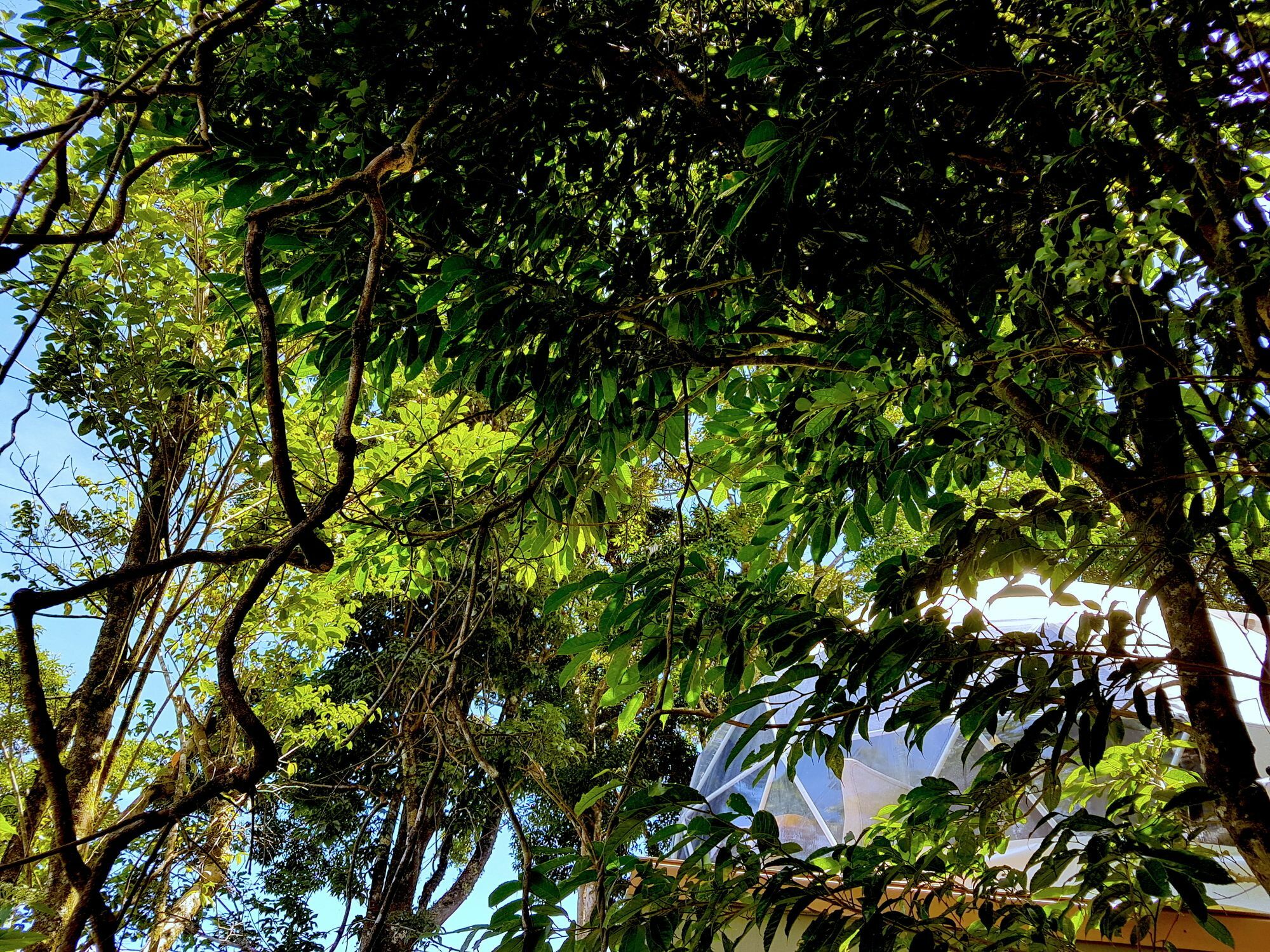Chira Glamping Monteverde Exterior photo