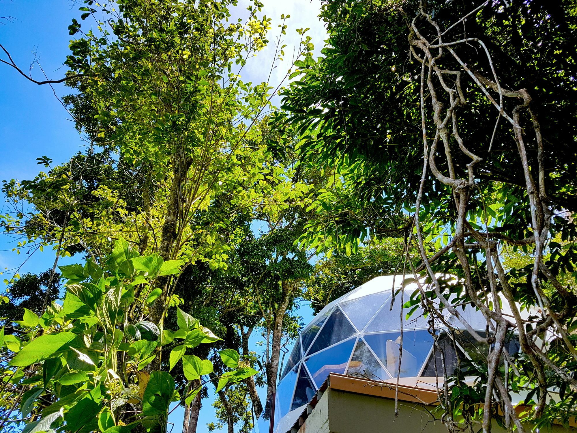Chira Glamping Monteverde Exterior photo